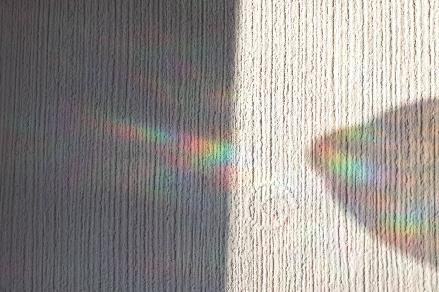 Suncatcher - Bird