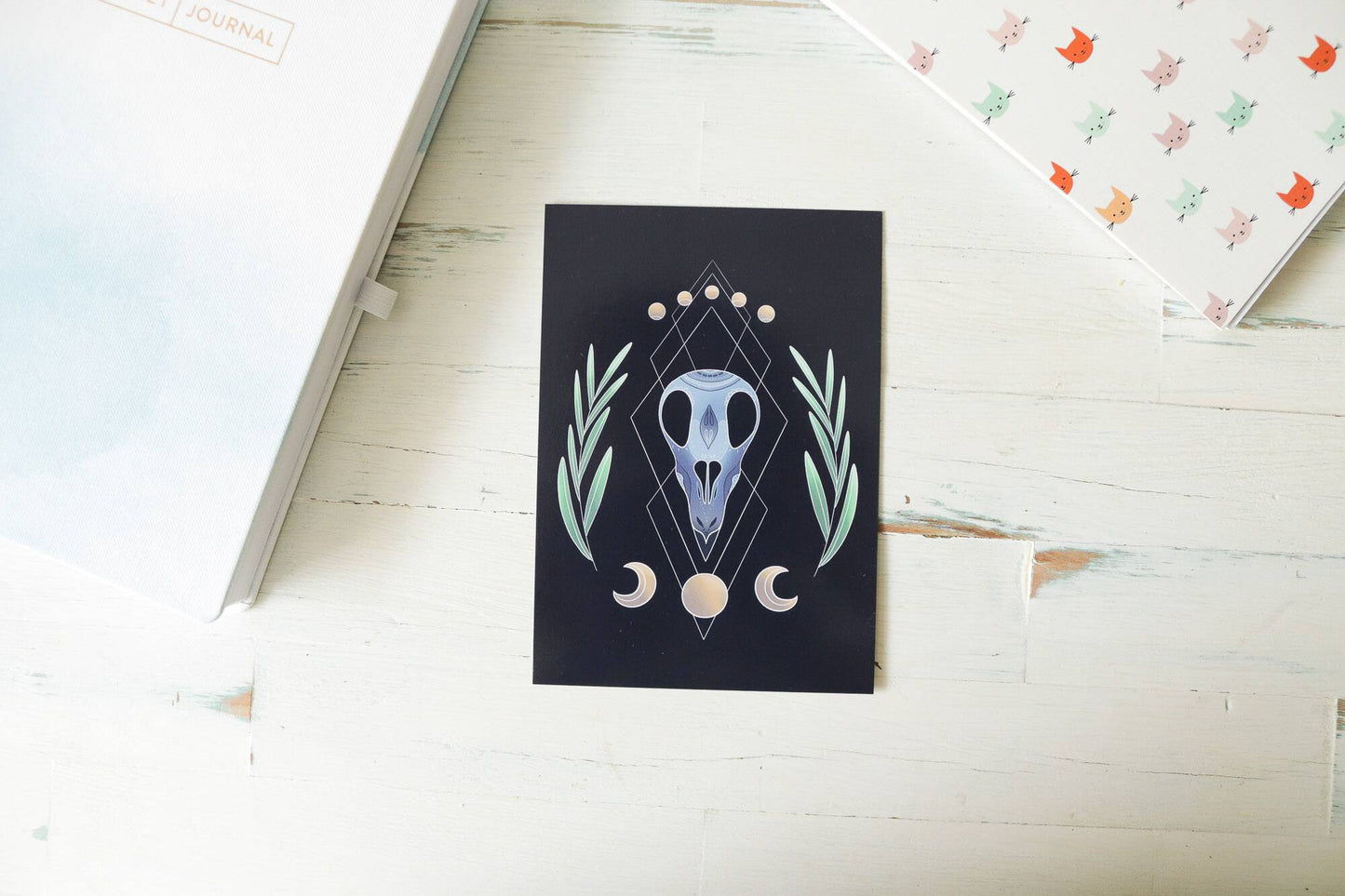 Postcard - Bird Skull